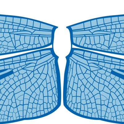 ES3wing14clr Thumbnail