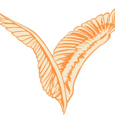 ESwings025clr Thumbnail