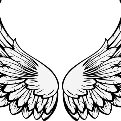 ES3wing15clr Thumbnail