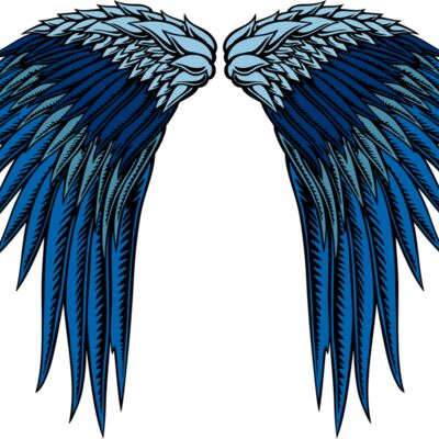 ES2wings014clr Thumbnail