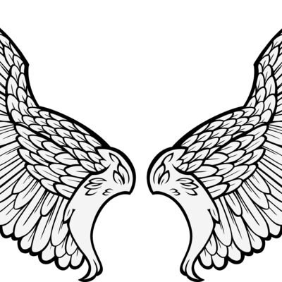 ES3wing11clr Thumbnail