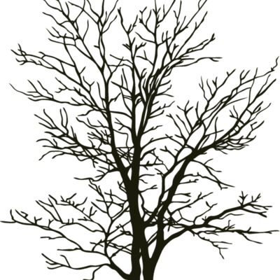 es2tree007clr Thumbnail