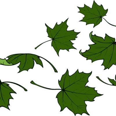 es2leaves001clr Thumbnail