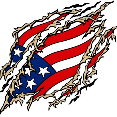 ripped flag Thumbnail