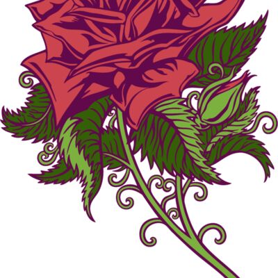 es2rose008clr Thumbnail