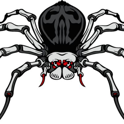 es3spider04clr Thumbnail