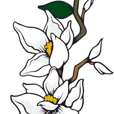 es3flower05clr Thumbnail