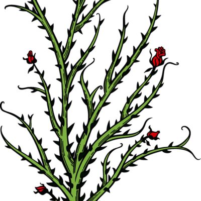 es2thorns004clr Thumbnail