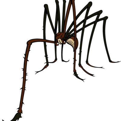 es3spider02clr Thumbnail