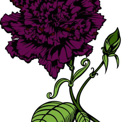 es3flower01clr Thumbnail