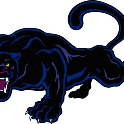 espanther001clr Thumbnail