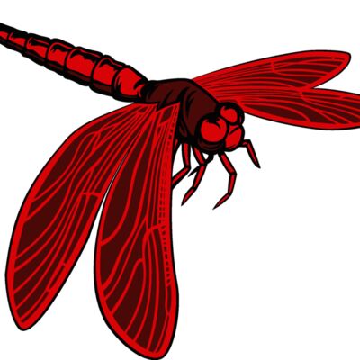 esdragonfly001clr Thumbnail