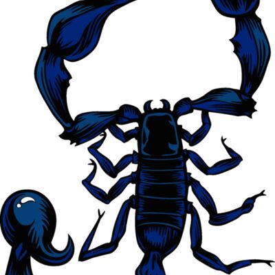 es2scorpion001clr Thumbnail