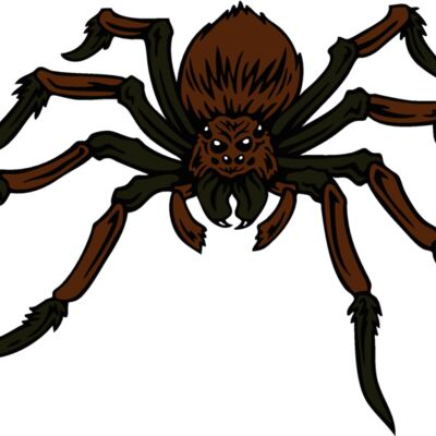 esspider004clr Thumbnail