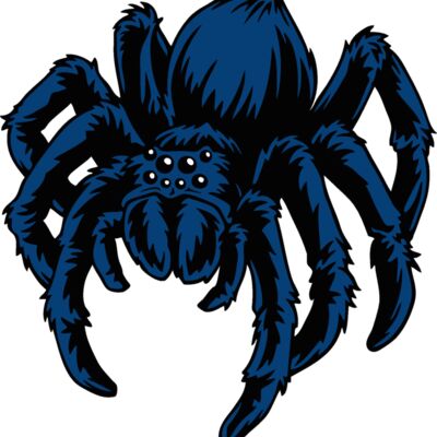 es2spider005clr Thumbnail