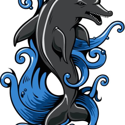 dolphin31 Thumbnail