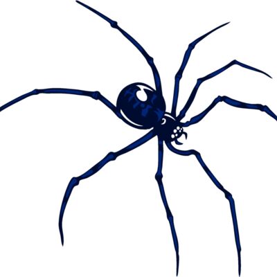 esspider007clr Thumbnail