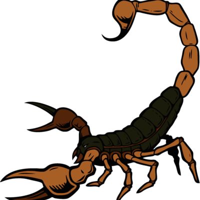 esscorpion001clr Thumbnail