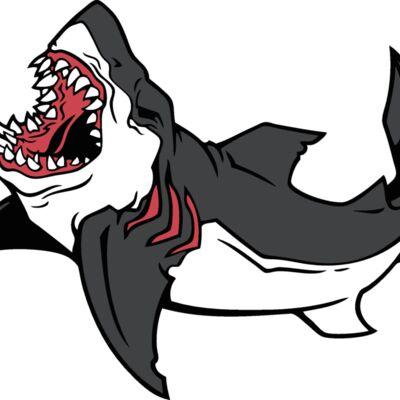 esshark001clr Thumbnail