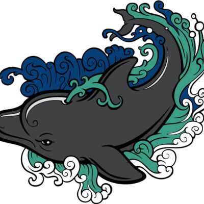 dolphin30 Thumbnail