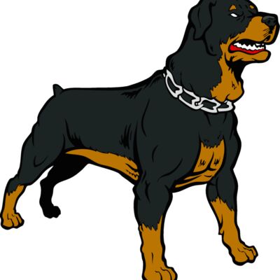 rottweiler02 Thumbnail