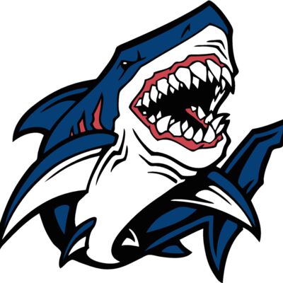 esshark002clr Thumbnail