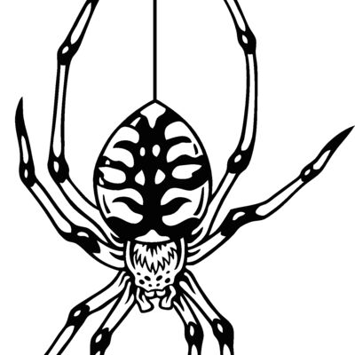 es2spider003bw Thumbnail