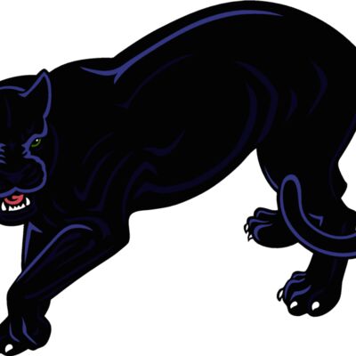 es2panther005clr Thumbnail