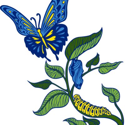 es3butterfly05clr Thumbnail