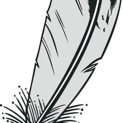 feathers03 Thumbnail