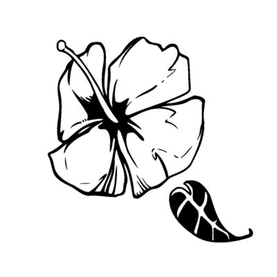 hibiscus flower Thumbnail