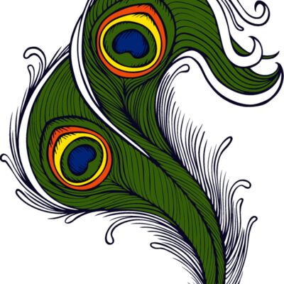 feathers04 Thumbnail