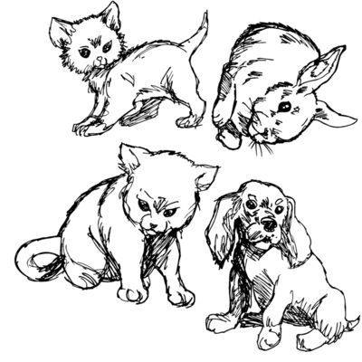 babyanimals Thumbnail