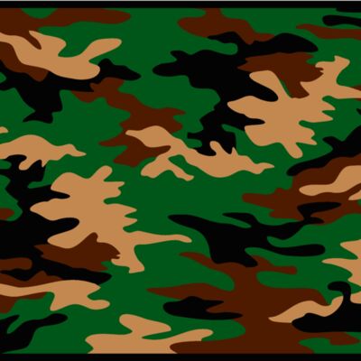 camouflage2 Thumbnail