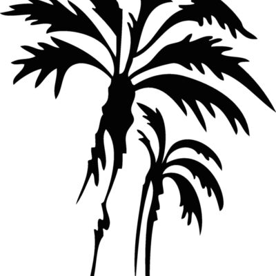 palmtrees02 Thumbnail