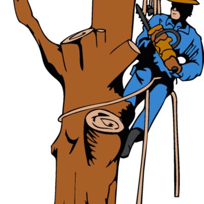 treetrimmer Thumbnail