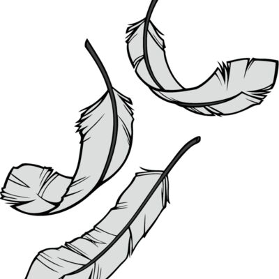 feathers08 Thumbnail