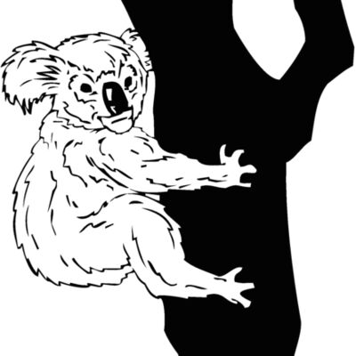 koala1 Thumbnail