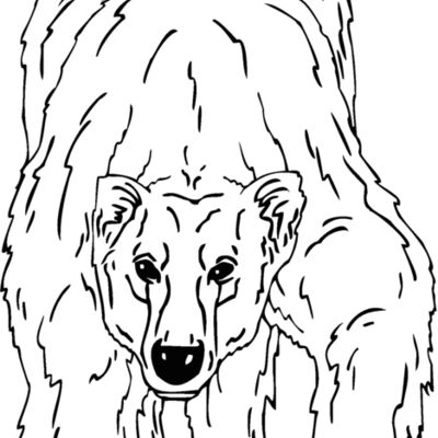 polar bear 1 Thumbnail