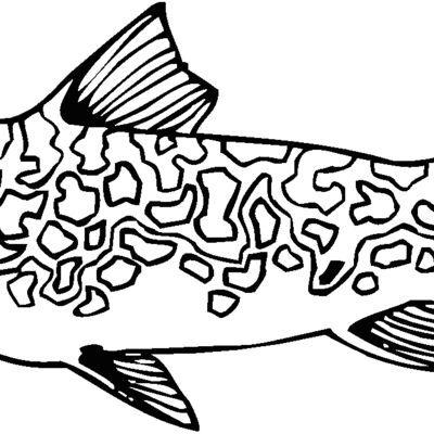 lake trout Thumbnail