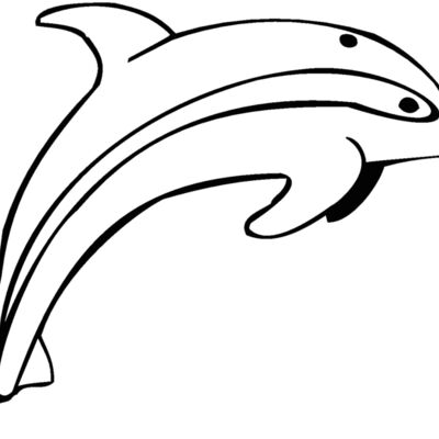 dolphin29 Thumbnail