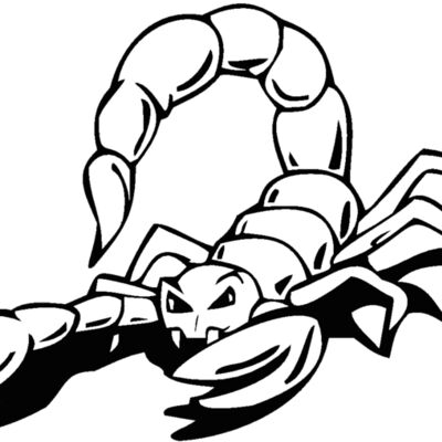 scorpion Thumbnail