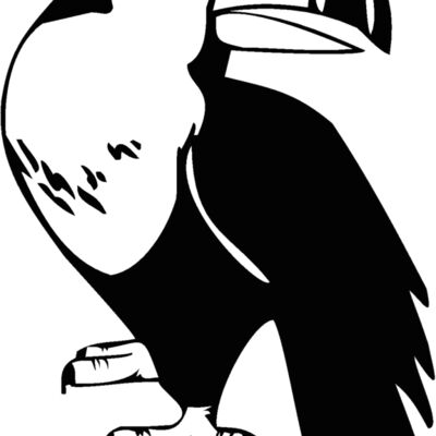toucan2 Thumbnail