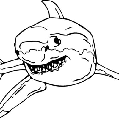 great white Thumbnail