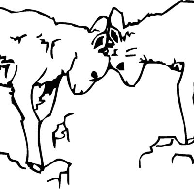 mountaingoatkids Thumbnail