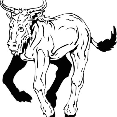 mountain goat Thumbnail