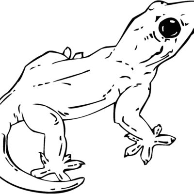 gecko Thumbnail