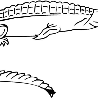 teleosaurus Thumbnail
