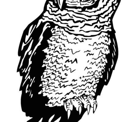 owl Thumbnail