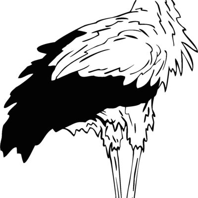 stork Thumbnail